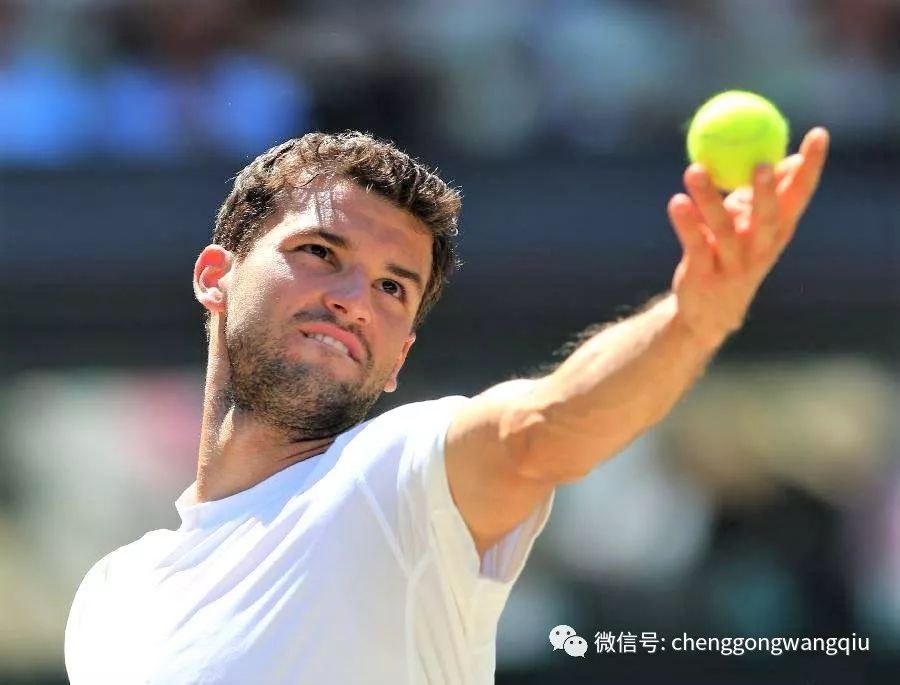 极高的要求 极高的要求