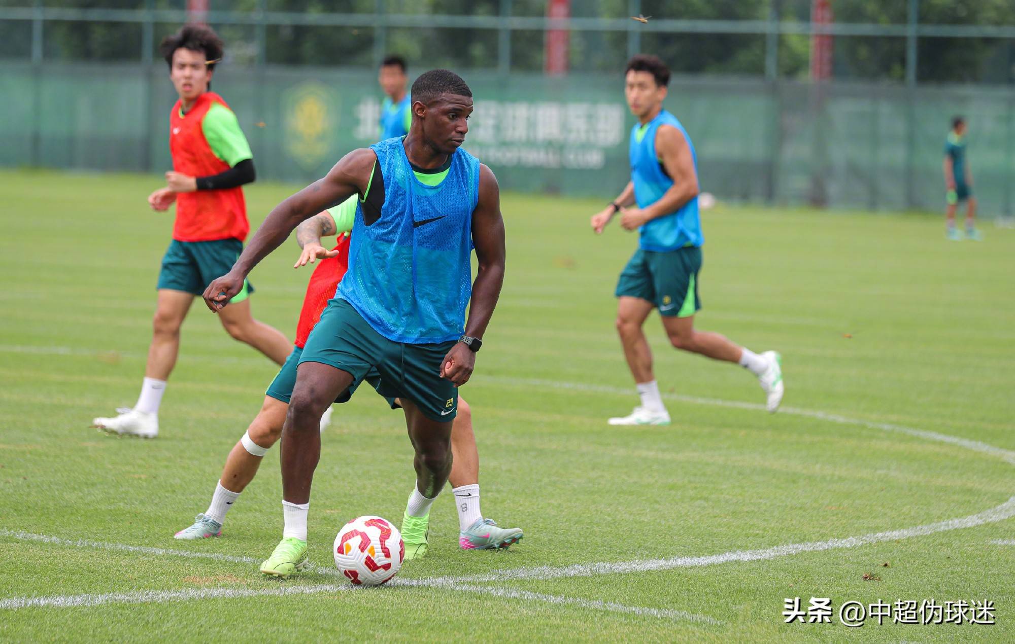 置引入性价 置引入性价