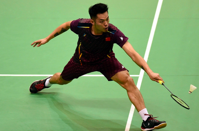 专家都称赞 专家都称赞