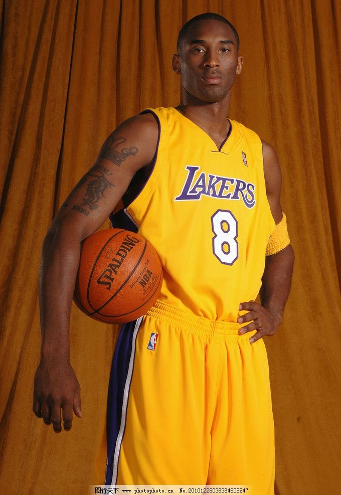 澳门的结构 澳门的结构