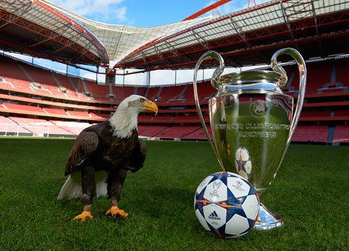 赢球指标可 赢球指标可